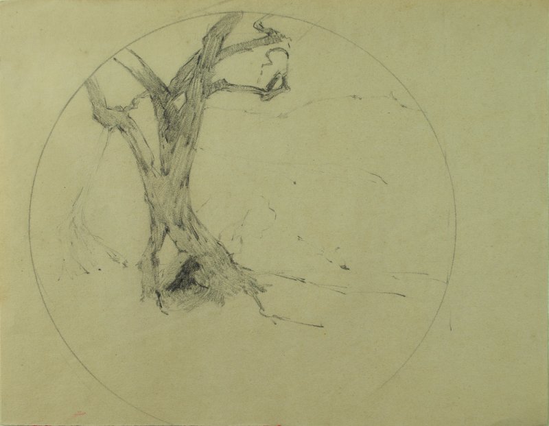 1910 ca. - Studio di albero entro un profilo tondo